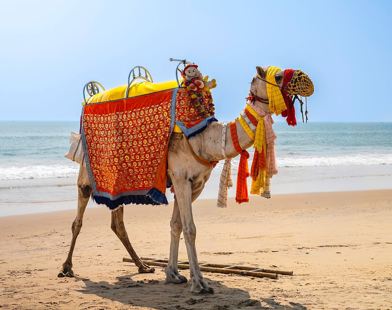 Best Time to Visit Puri: Weather, Seasons & Festival Calendar
