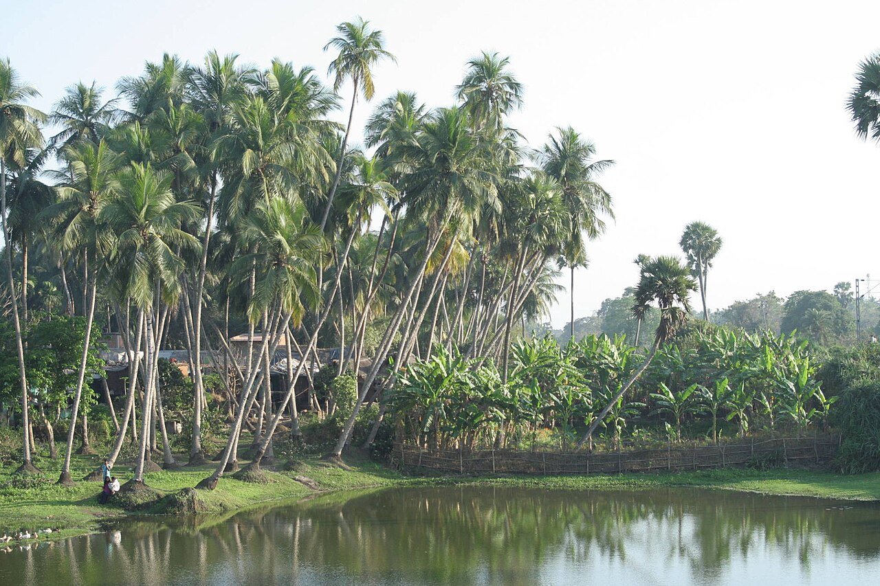 Raghurajpur Heritage Craft Village: Pattachitra Art & Gotipua Dance Tour