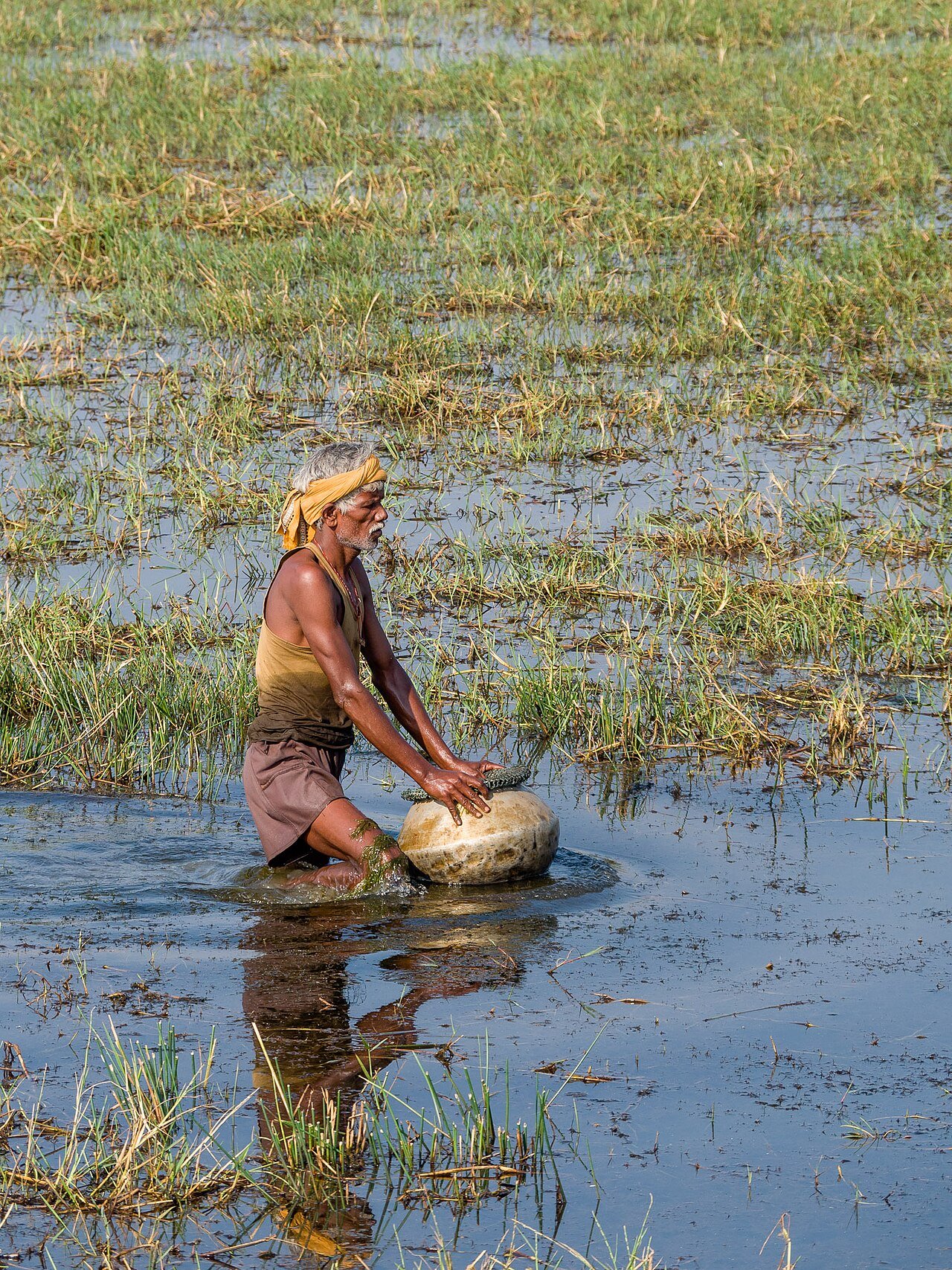 Mangalajodi Chilika: Asia's Best Wetland Birdwatching Destination
